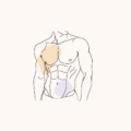 Chest Liposuction: The Guide