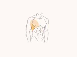 What is Male BodyBanking- More Muscle Definition for Men Featured Image